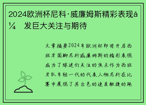 2024欧洲杯尼科·威廉姆斯精彩表现引发巨大关注与期待