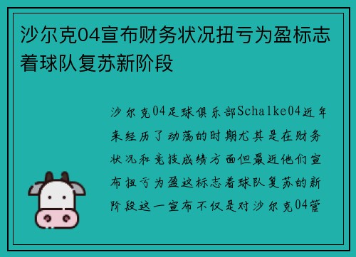 沙尔克04宣布财务状况扭亏为盈标志着球队复苏新阶段