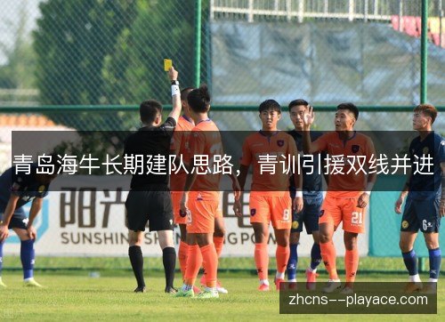 青岛海牛长期建队思路，青训引援双线并进